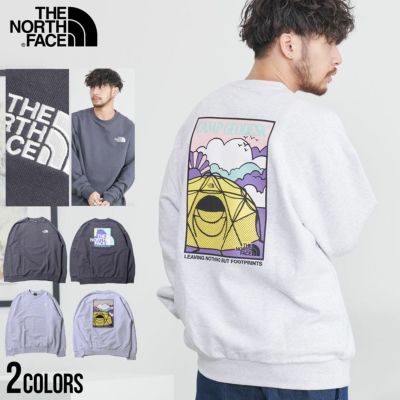 THE NORTH FACE(ザノースフェイス)HALF ZIP UP SWEATSHIRTS/全2色