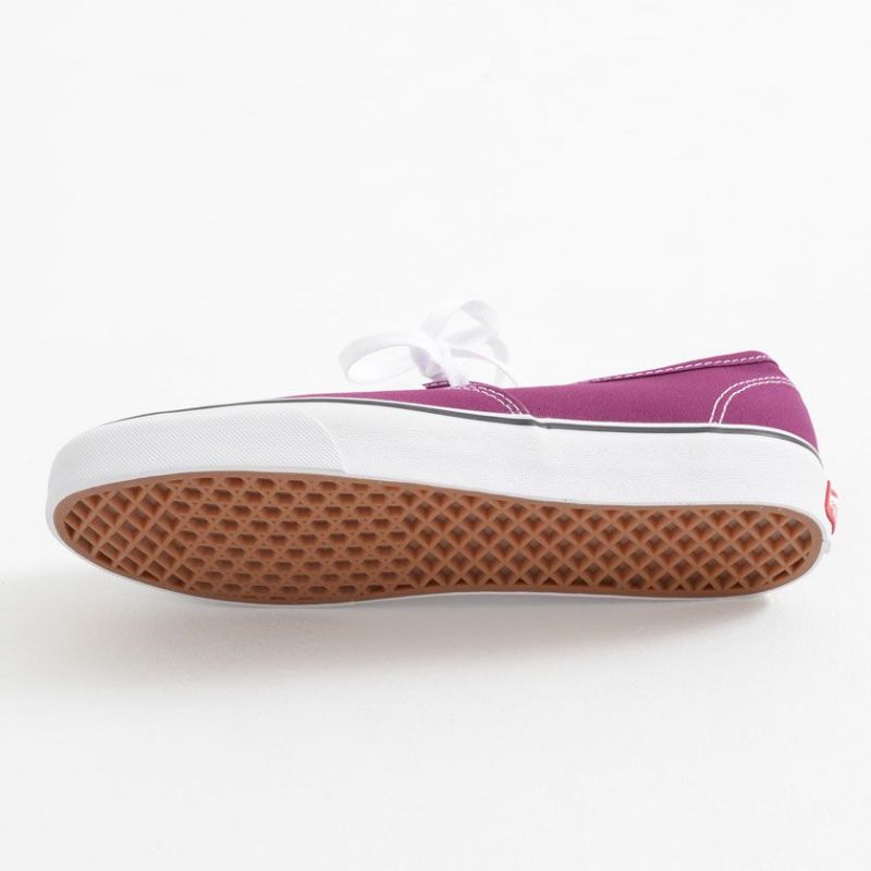 VANS(バンズ)Authentic Color Theory Dark Purple/全1色